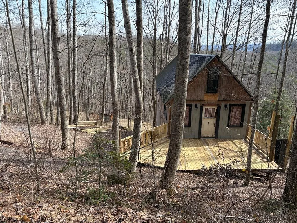 610 Lick Skillet Rd, Saltville, VA — MLS RR105854U